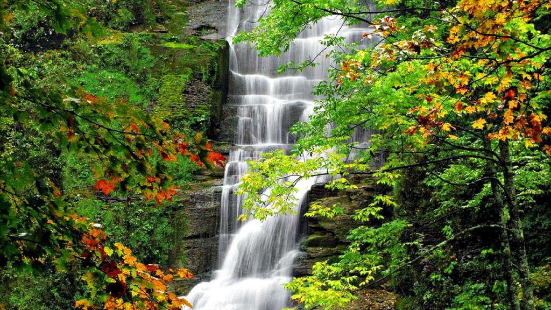 Pratts Falls Park Syracuse NY waterfall forest stream